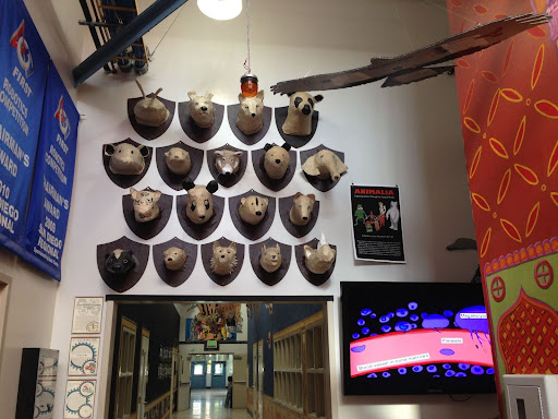 Busts from the Animalia project on display in the school hallway.